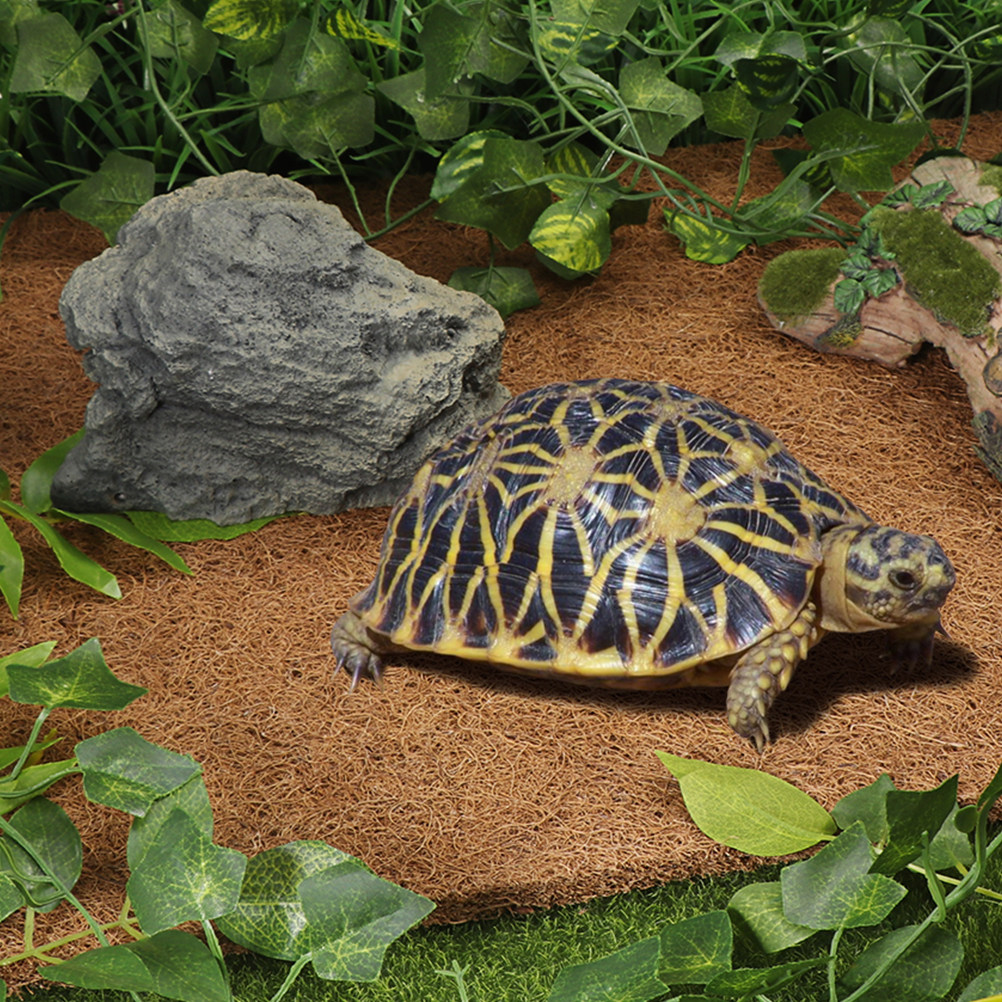 Reptile Substrate Carpet Natur - Substrate Coconut Fiber recension och pris