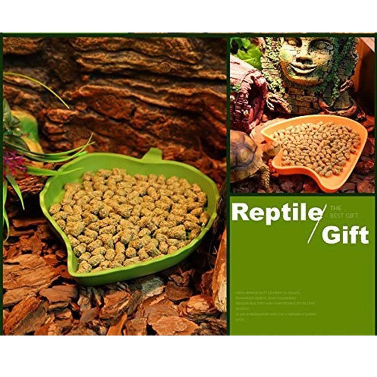 Turtle Feeding Bowl Reptile Fe - Water Dish Reptile recension och pris