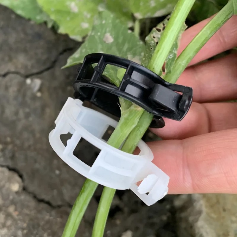 Reusable Plastic Plant Support - Vine Climbing Plastic recension och pris