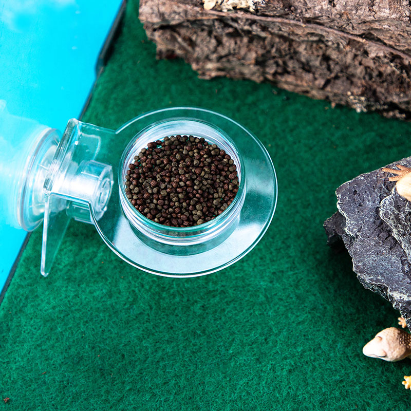 Acrylic Crawling Pet Feeding W - Water Dish Reptile recension och pris