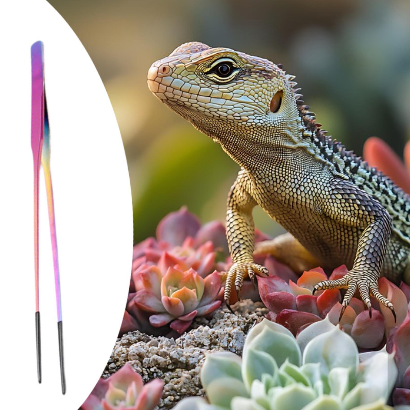 Terrarium Reptile Feeder Tongs - Feeding Tong Stainless recension och pris