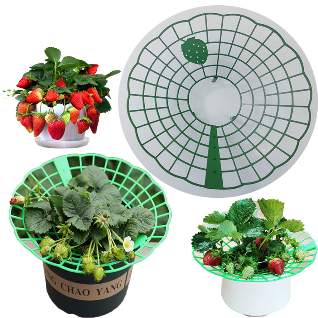 20PCS Strawberry Stand Green C - Vine Climbing Plastic recension och pris