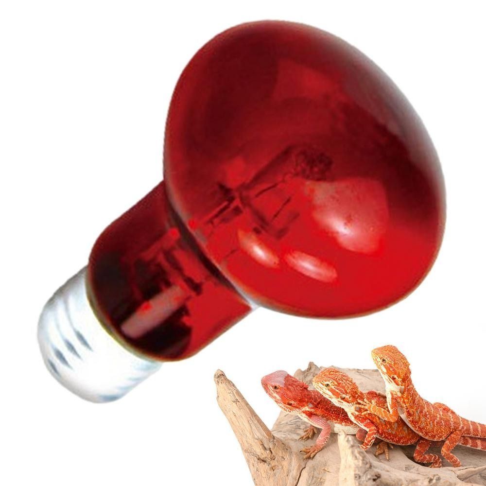 Infrared Led Pet Heating Lamp  - Ceramic Heat Emitter recension och pris