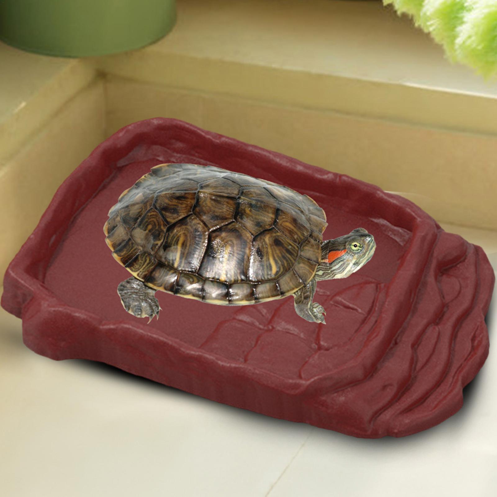 Turtle Water Dish With Anti-Sl - Water Dish Reptile recension och pris