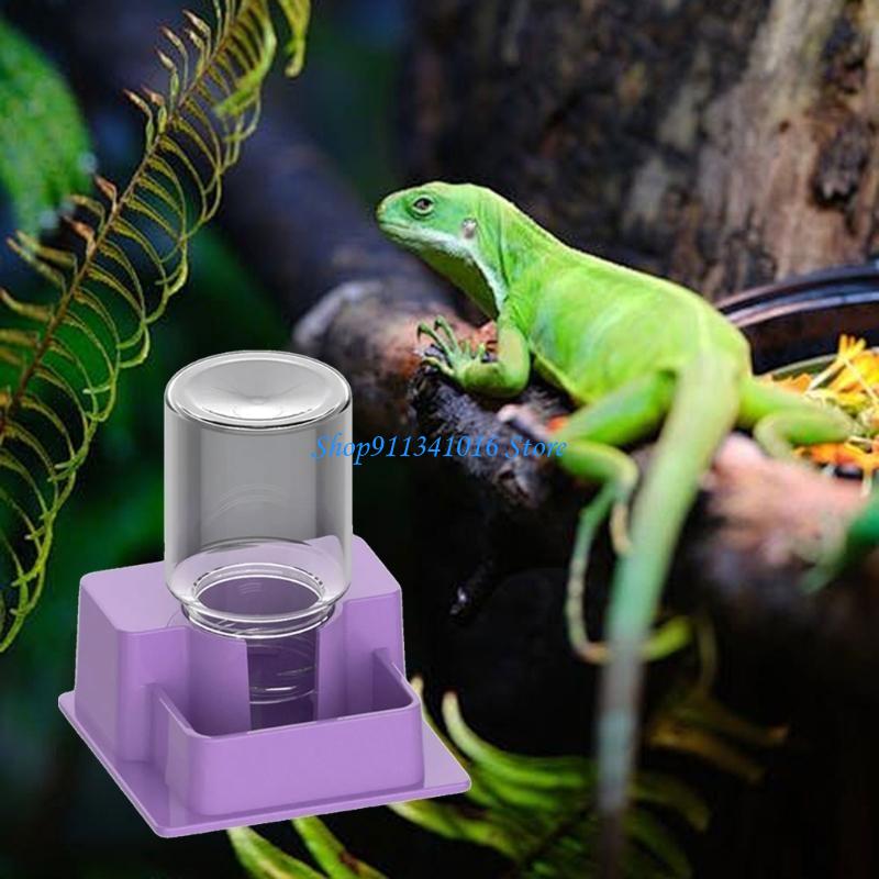  Multifunctional Reptiles Drin - Water Dish Reptile recension och pris
