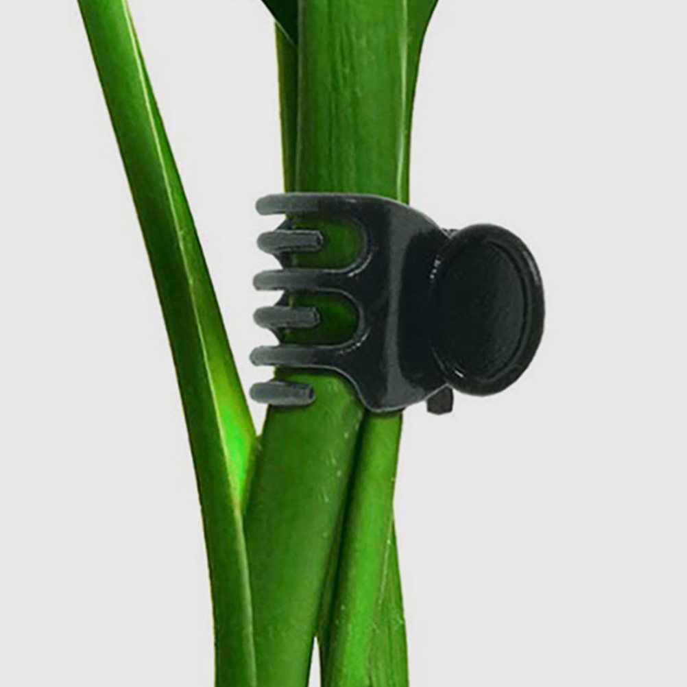 60Pcs Plant Support Clamps Pla - Vine Climbing Plastic recension och pris