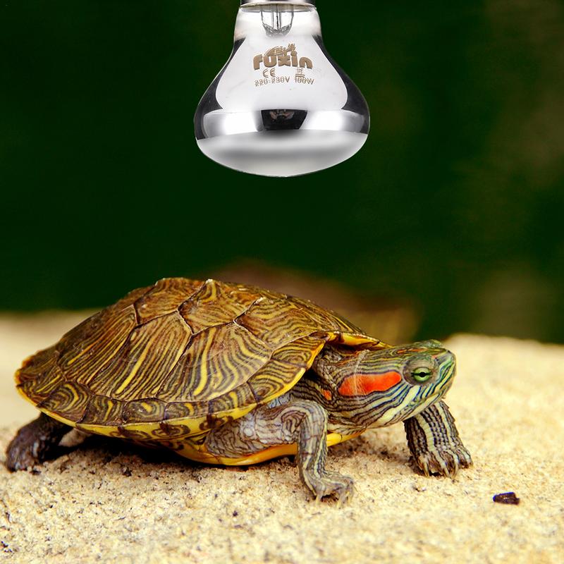 Pet Heating Lamp E27 Day Night - Ceramic Heat Emitter recension och pris