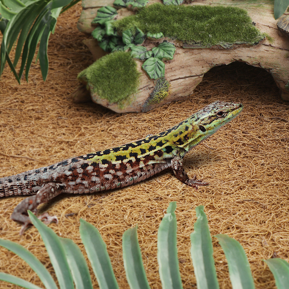 Reptile Terrarium Bedding Subs - Substrate Coconut Fiber recension och pris