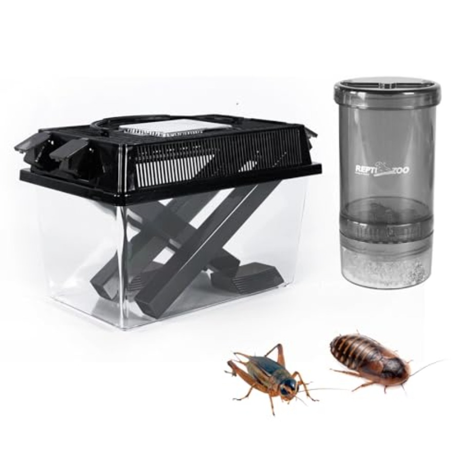 【Spot goods】Reptile Cricket Ke - Calcium Powder Reptile recension och pris