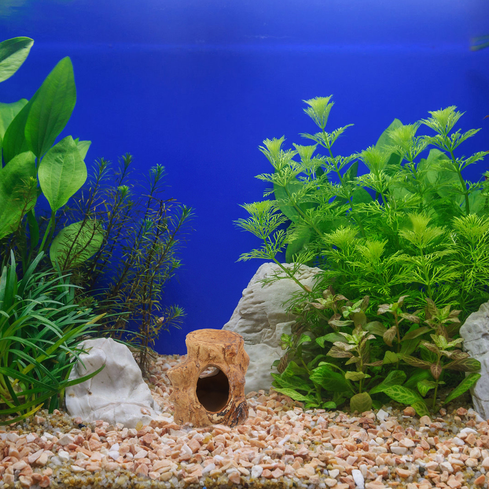 Pleco Caves Fish Tank Decorati - Hide Cave Ceramic recension och pris