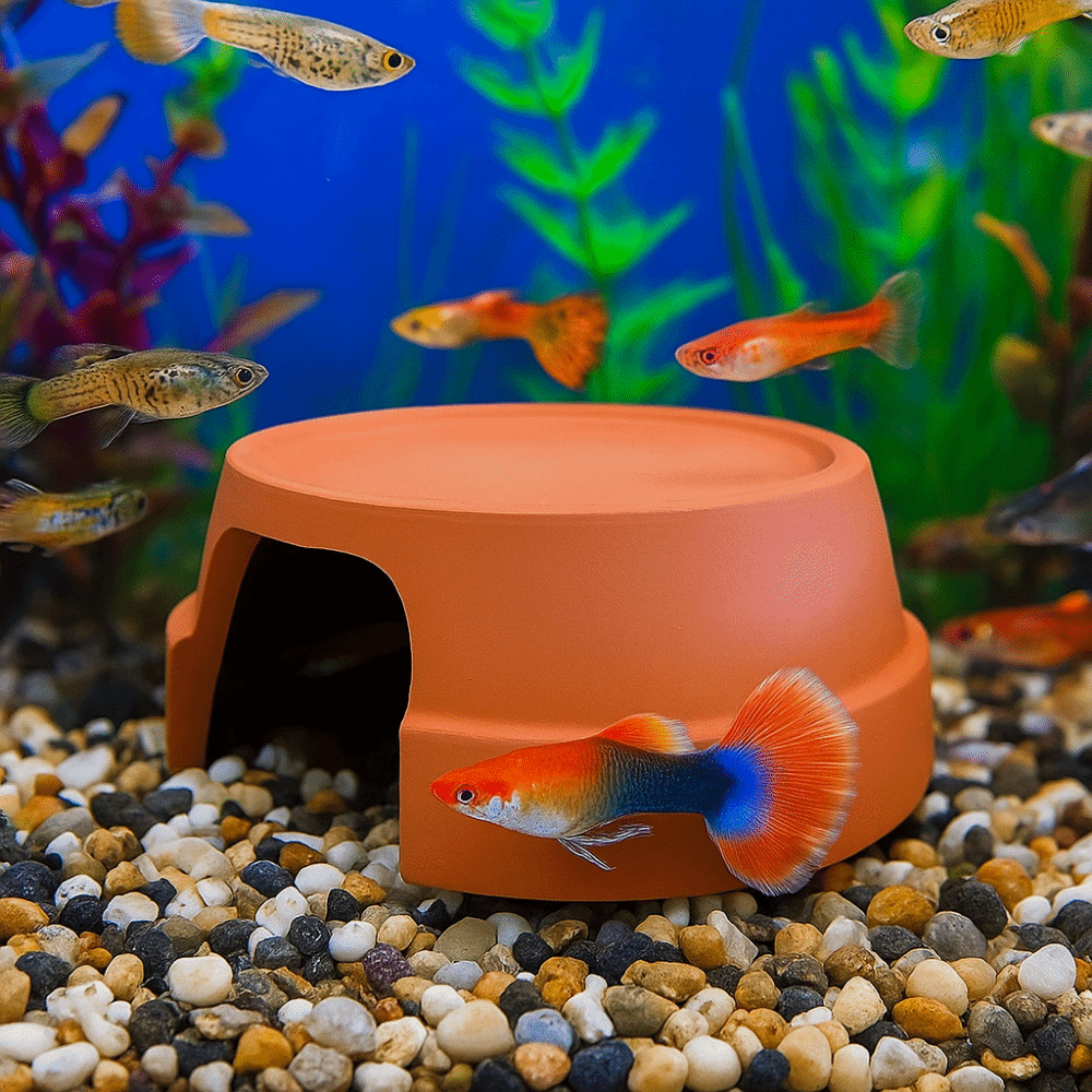 Multifunctional Ceramics Repti - Hide Cave Ceramic recension och pris