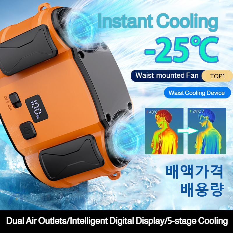 Outdoor Double Air Outlet Fan  - Timer Dual Outlet recension och pris