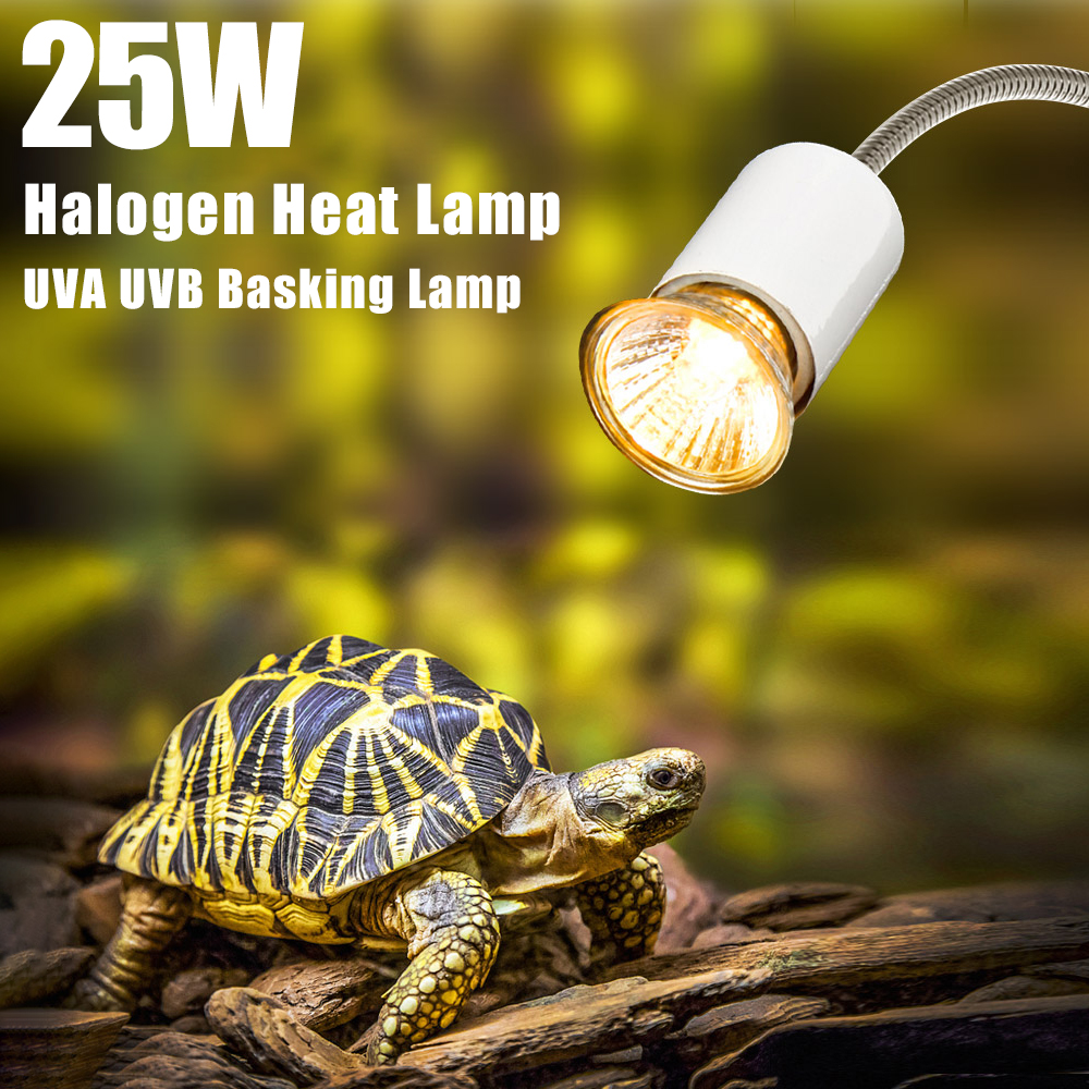 25W Halogen Heat Lamp UVA UVB  - Basking Bulb Halogen recension och pris