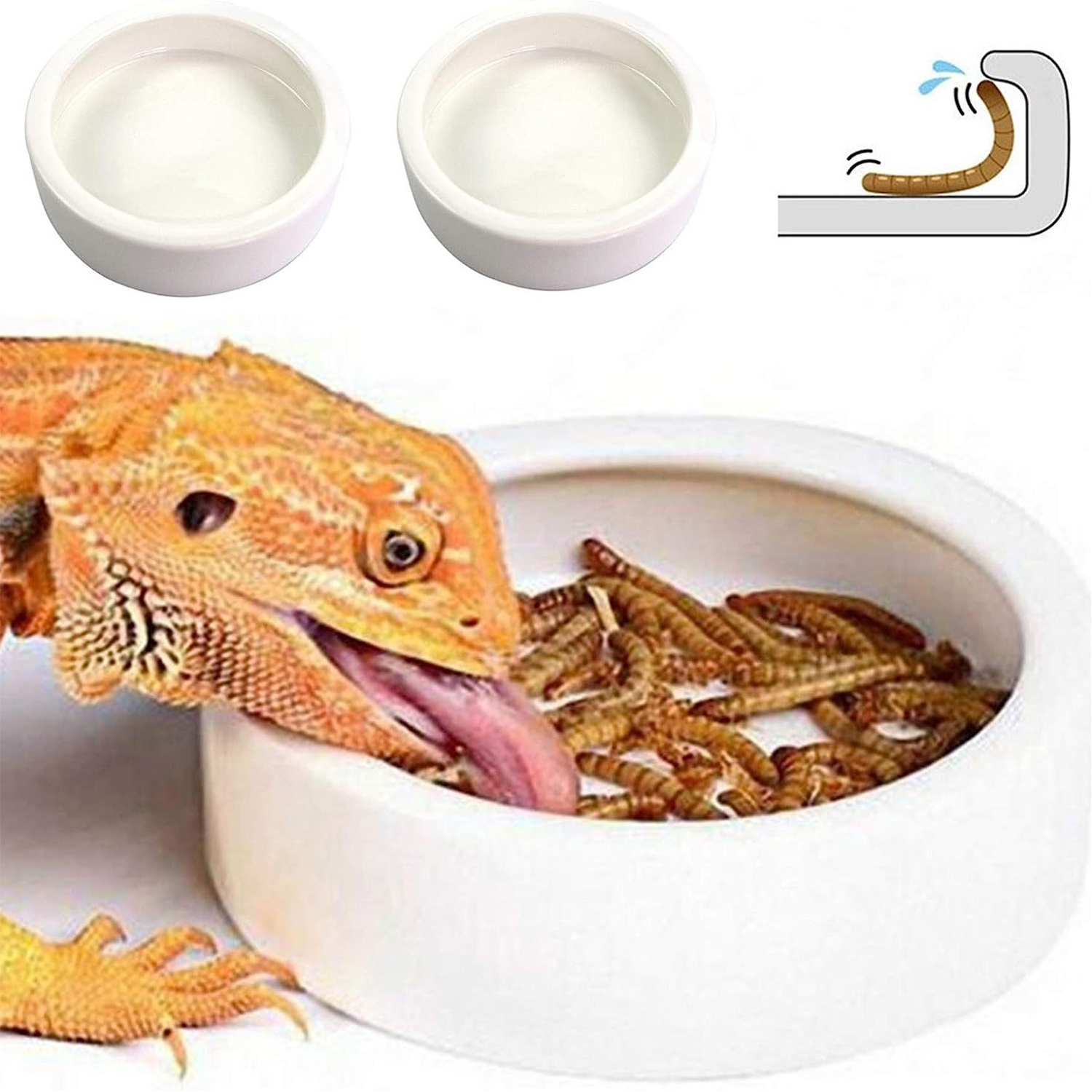 Reptile Food Bowl Feeding and  - Water Dish Reptile recension och pris