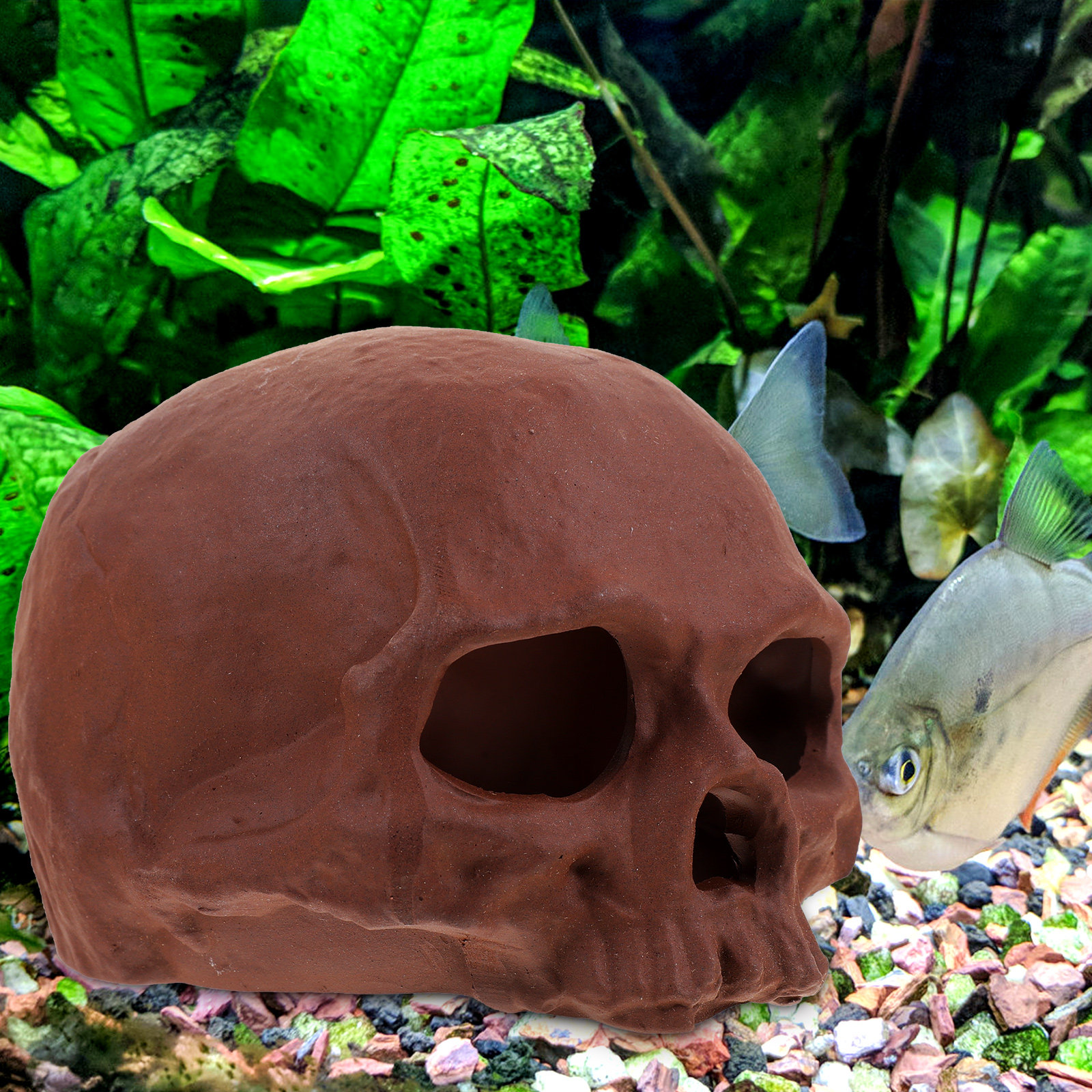 Ceramic Fish Cave Shrimp Hide  - Hide Cave Ceramic recension och pris
