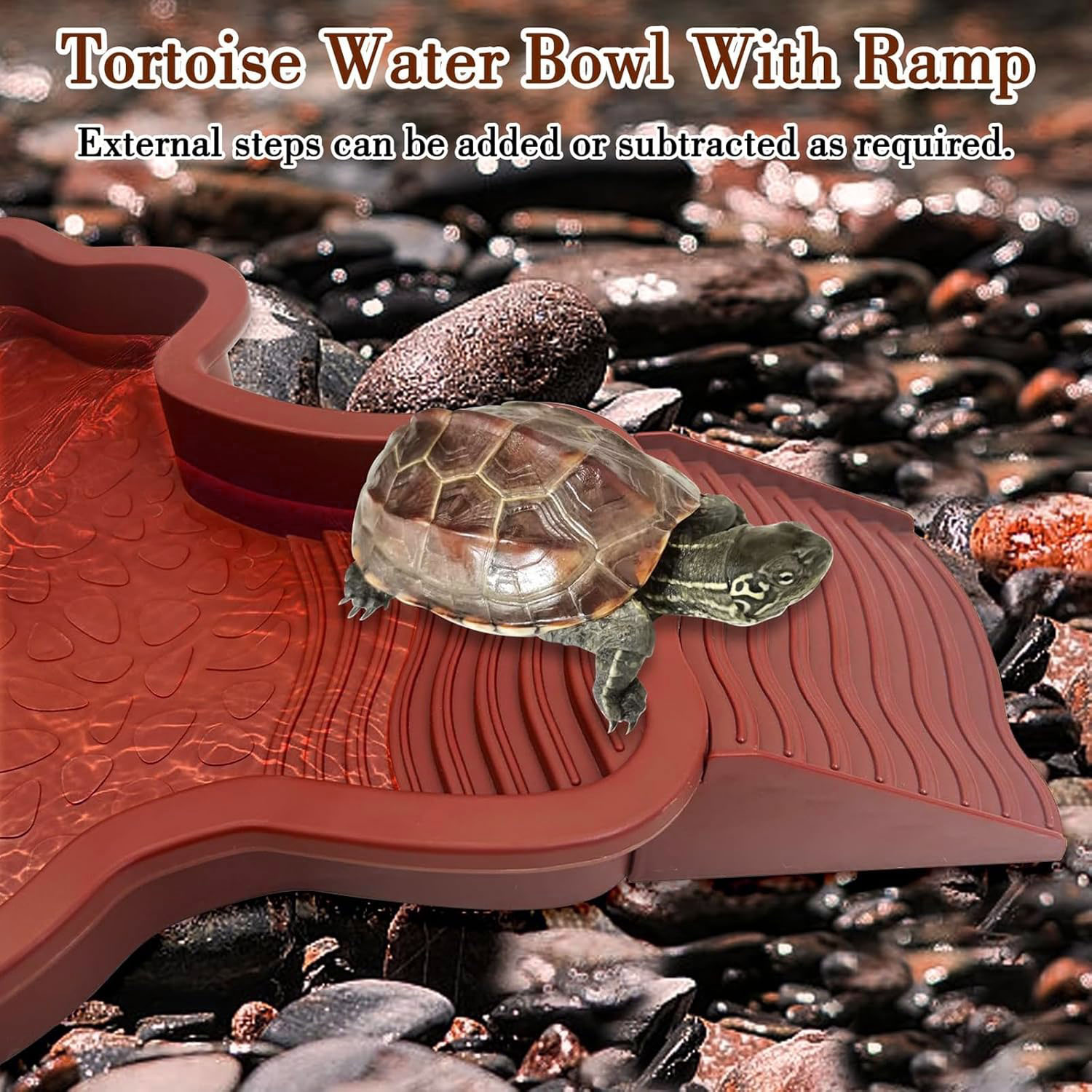 Reptile Bathing Pool with Ramp - Water Dish Reptile recension och pris
