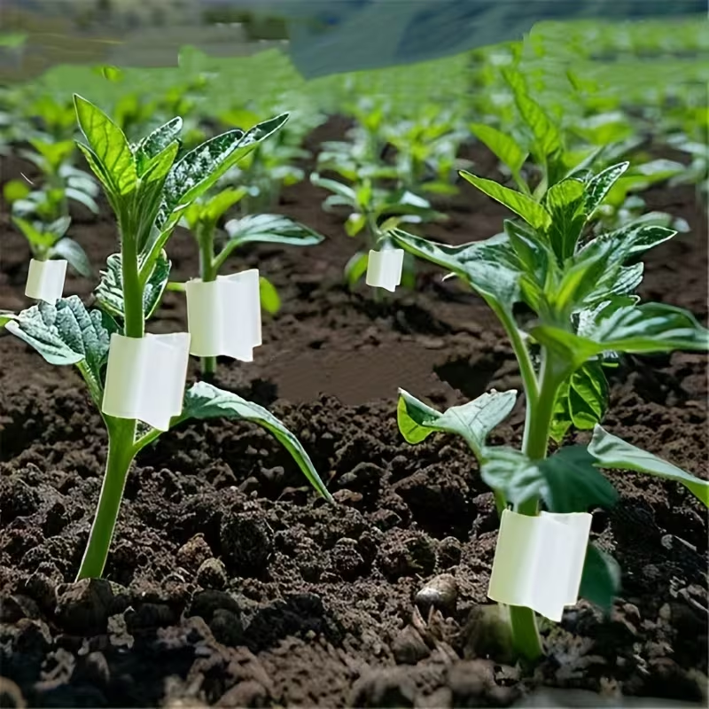 50pcs Agriculture Grafting Cli - Vine Climbing Plastic recension och pris