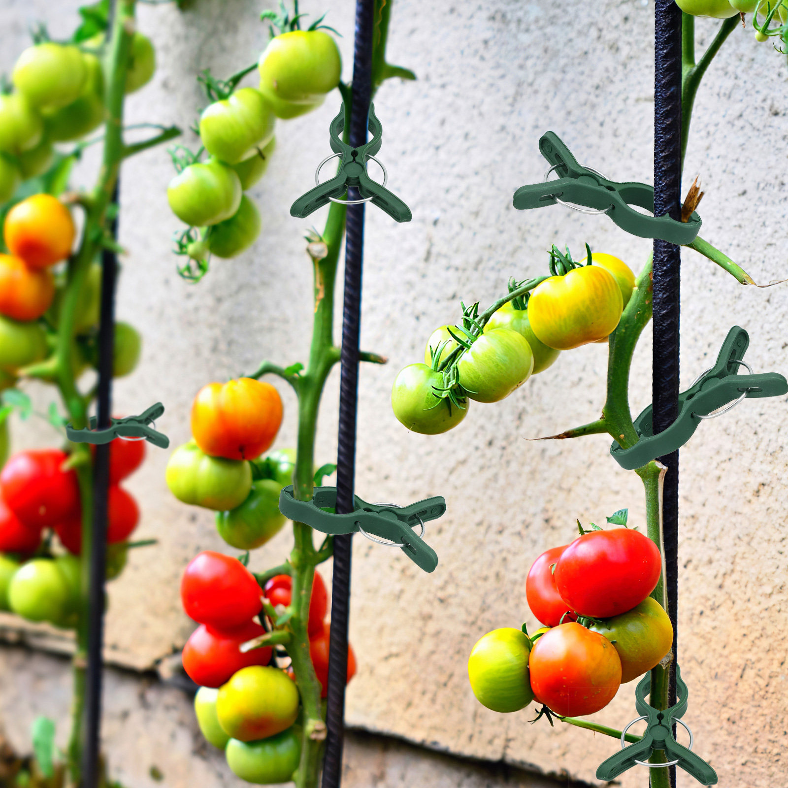 50Pcs Plastic Garden Plant Cli - Vine Climbing Plastic recension och pris