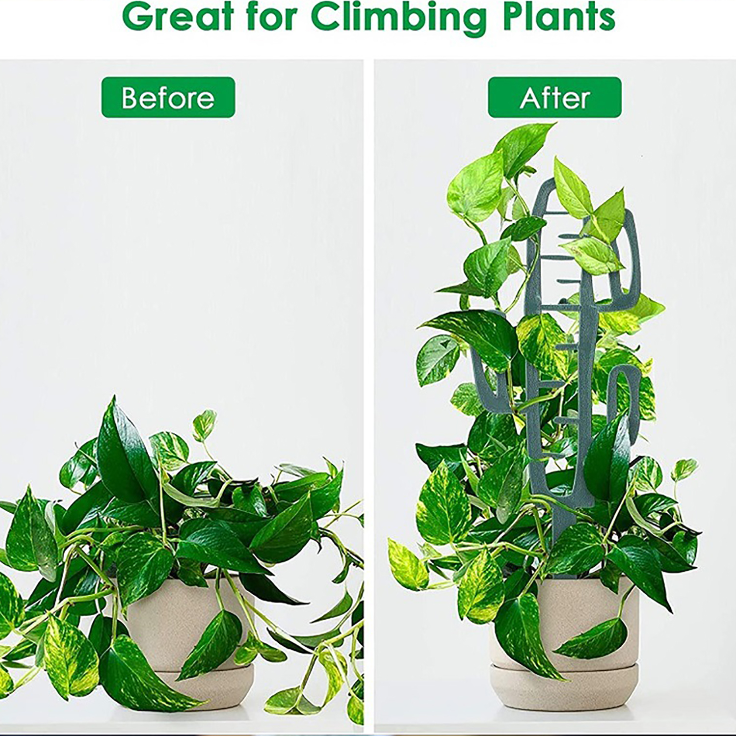 Plant Climbing Support Stand F - Vine Climbing Plastic recension och pris