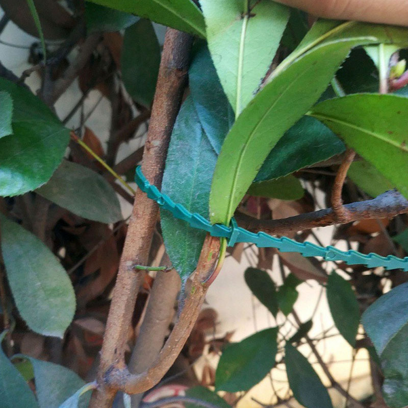 13cm Adjustable Plastic Plant  - Vine Climbing Plastic recension och pris