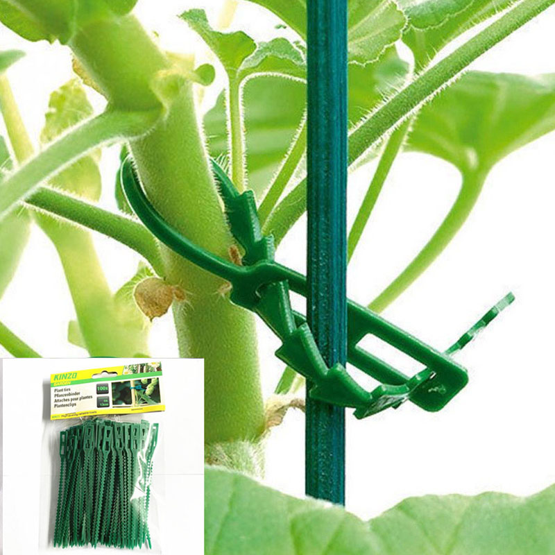 13cm Adjustable Plastic Plant  - Vine Climbing Plastic recension och pris